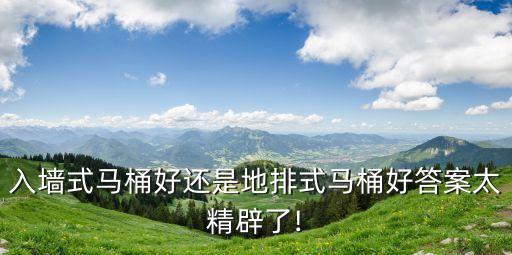 當(dāng)代衛(wèi)浴入墻圖片大全高清