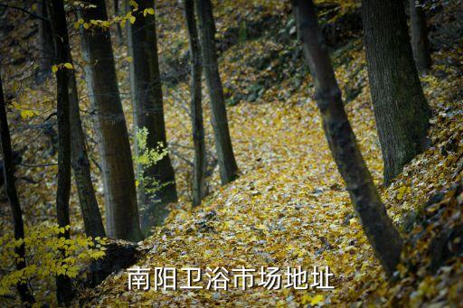 南陽衛(wèi)浴市場地址
