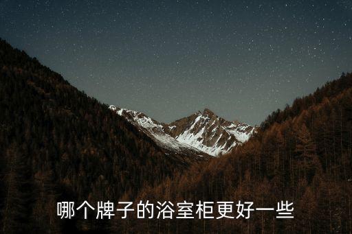 哪個(gè)牌子的浴室柜更好一些
