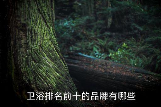  衛(wèi)浴排名前十的品牌有哪些