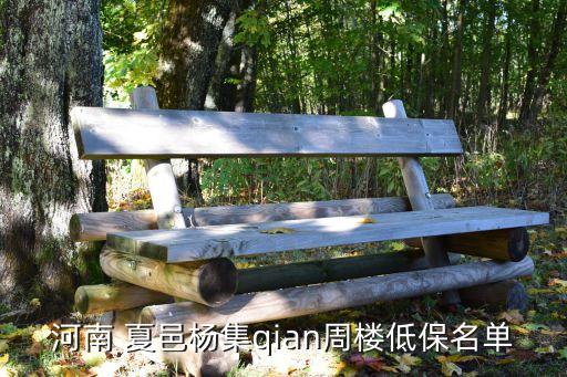 河南 夏邑楊集qian周樓低保名單