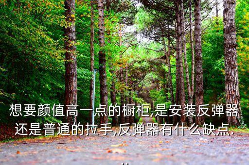 水晶衛(wèi)浴把手安裝圖片