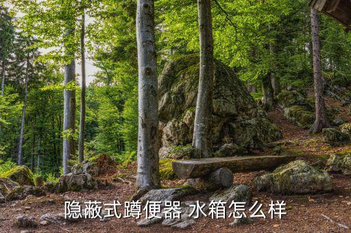 家裝衛(wèi)浴暗藏式?jīng)_水箱圖片