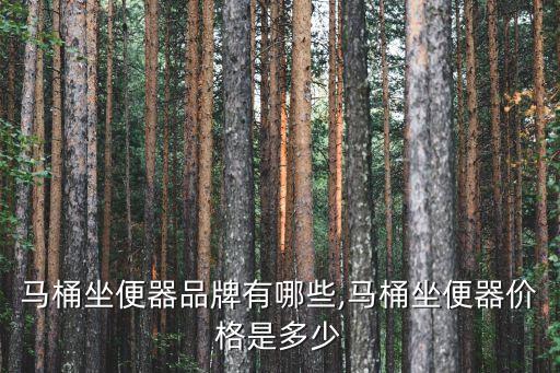 馬桶坐便器品牌有哪些,馬桶坐便器價(jià)格是多少