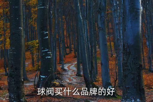 球閥買(mǎi)什么品牌的好