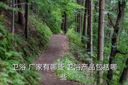  衛(wèi)浴 廠家有哪些 衛(wèi)浴產(chǎn)品包括哪些