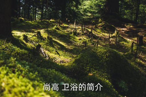 尚高 衛(wèi)浴的簡介