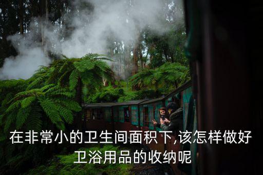 在非常小的衛(wèi)生間面積下,該怎樣做好 衛(wèi)浴用品的收納呢