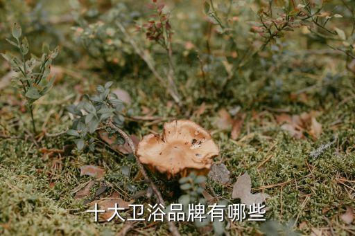 大品牌廚電衛(wèi)浴排行榜最新