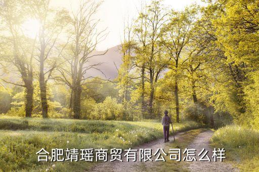  合肥靖瑤商貿(mào)有限公司怎么樣