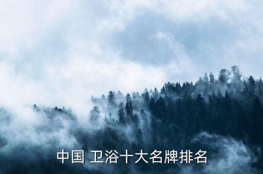 中國(guó) 衛(wèi)浴十大名牌排名