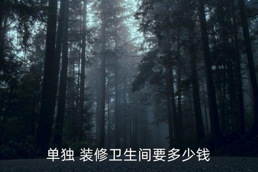 5平米主臥衛(wèi)浴裝修圖片,主臥梳妝臺裝修效果圖片大全