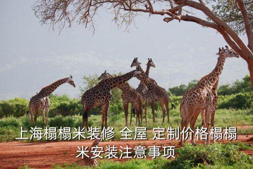 全屋定制衛(wèi)浴報價表圖片,歐派全屋定制報價表