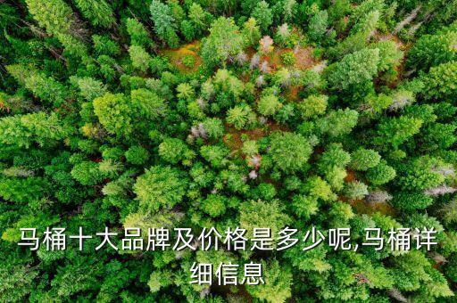 馬桶十大品牌及價(jià)格是多少呢,馬桶詳細(xì)信息