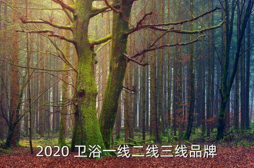 2020 衛(wèi)浴一線二線三線品牌