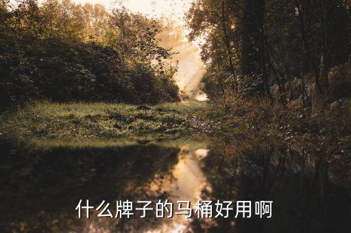 什么牌子的馬桶好用啊
