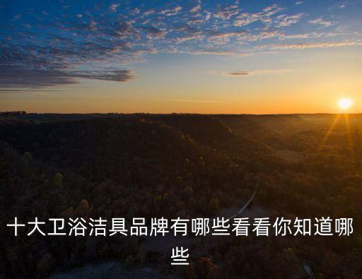 十大衛(wèi)浴潔具品牌有哪些看看你知道哪些