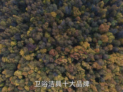  衛(wèi)浴潔具十大品牌