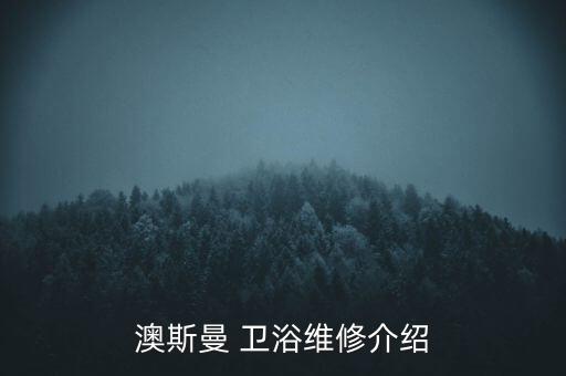 澳斯曼 衛(wèi)浴維修介紹