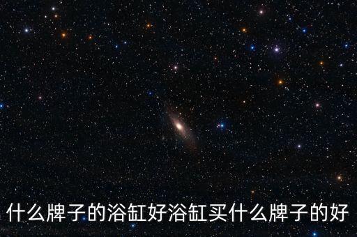 什么牌子的浴缸好浴缸買什么牌子的好