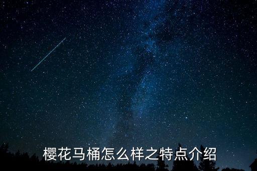  櫻花馬桶怎么樣之特點(diǎn)介紹