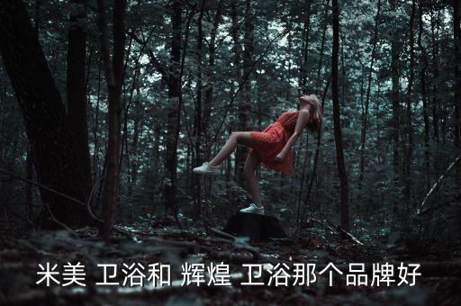 米美 衛(wèi)浴和 輝煌 衛(wèi)浴那個品牌好