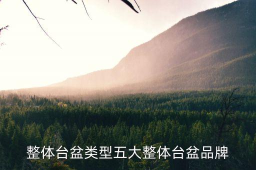 衛(wèi)浴臺(tái)面下收納推薦品牌