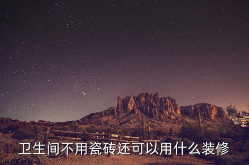衛(wèi)浴不打地磚行嗎圖片大全