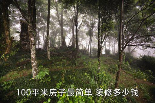 100平米房子最簡(jiǎn)單 裝修多少錢