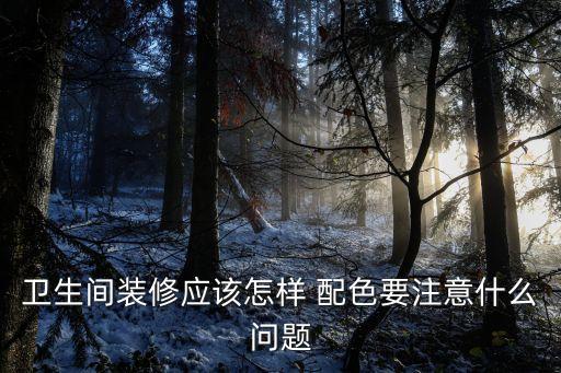 衛(wèi)生間裝修應(yīng)該怎樣 配色要注意什么問題