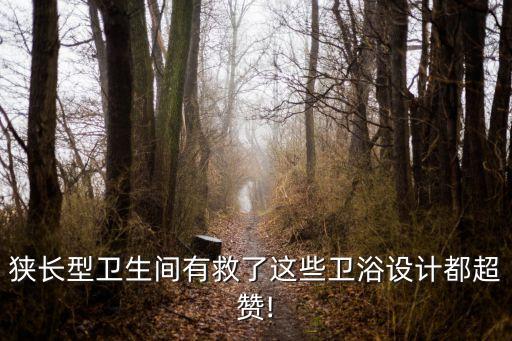 北美小衛(wèi)浴裝修圖片欣賞,衛(wèi)浴門店裝修圖片欣賞