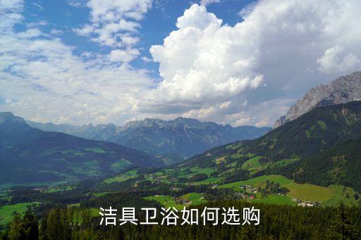 買衛(wèi)浴怎么搜品牌的貨,衛(wèi)浴品牌代理怎么找