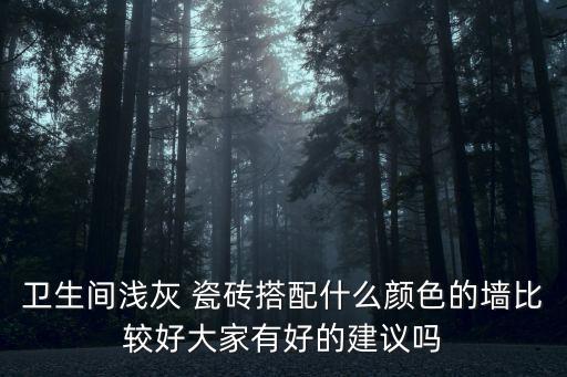 衛(wèi)生間淺灰 瓷磚搭配什么顏色的墻比較好大家有好的建議嗎