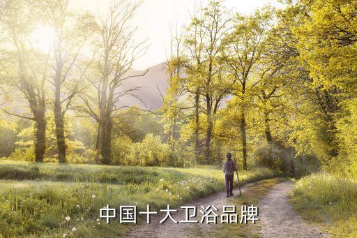 中國十大衛(wèi)浴品牌