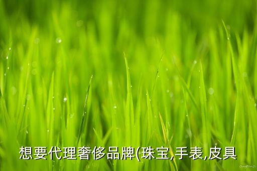 想要代理奢侈品牌(珠寶,手表,皮具