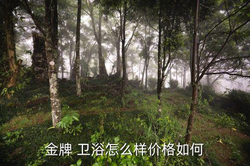 金牌 衛(wèi)浴怎么樣價(jià)格如何