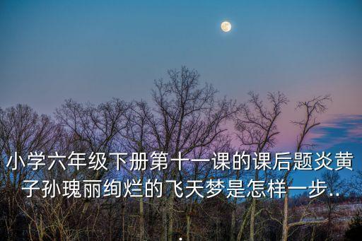 小學六年級下冊第十一課的課后題炎黃子孫瑰麗絢爛的飛天夢是怎樣一步...