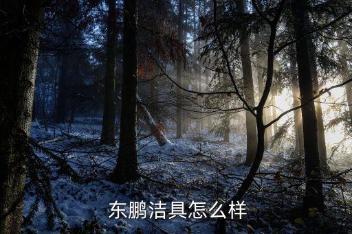  東鵬潔具怎么樣