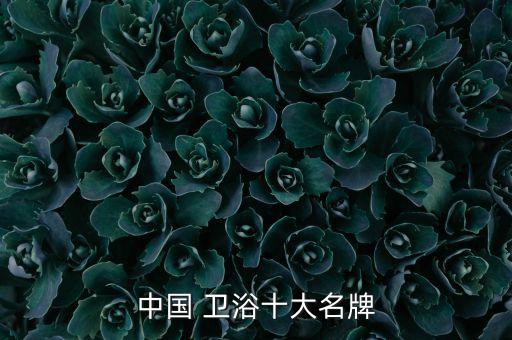 中國(guó) 衛(wèi)浴十大名牌