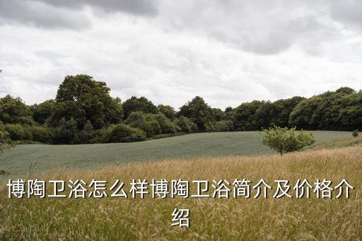 博陶衛(wèi)浴怎么樣博陶衛(wèi)浴簡介及價格介紹