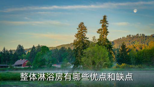 整體淋浴房有哪些優(yōu)點和缺點