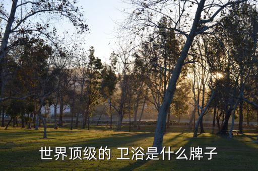 餐具衛(wèi)浴奢侈品牌有哪些,餐具奢侈品牌排行榜