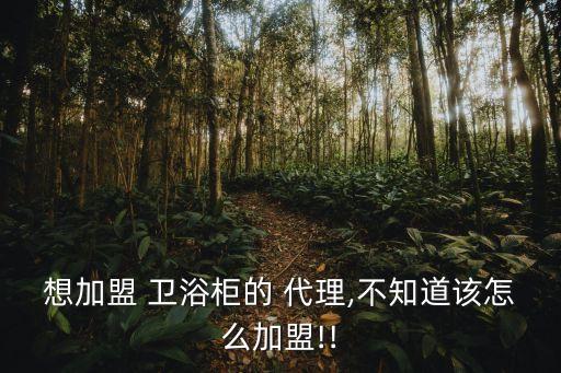 想加盟 衛(wèi)浴柜的 代理,不知道該怎么加盟!!