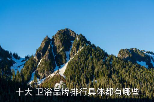  十大 衛(wèi)浴品牌排行具體都有哪些