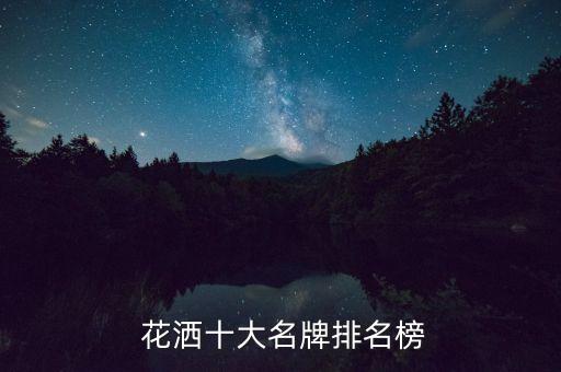 衛(wèi)浴花灑套裝牌子大全圖片