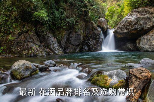 最新 花灑品牌排名及選購常識