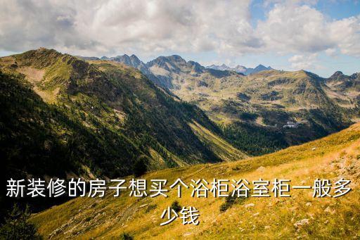 新裝修的房子想買個(gè)浴柜浴室柜一般多少錢
