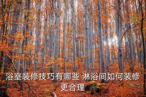 衛(wèi)浴淋浴入墻怎么辦啊圖片