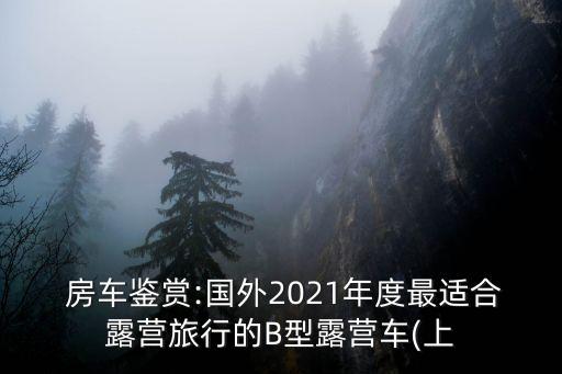  房車鑒賞:國外2021年度最適合露營旅行的B型露營車(上