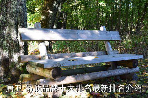 廚衛(wèi) 吊頂品牌十大排名最新排名介紹